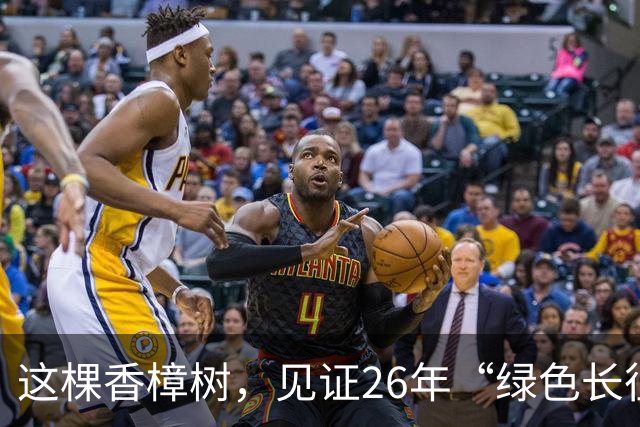 这棵香樟树，见证26年“绿色长征”